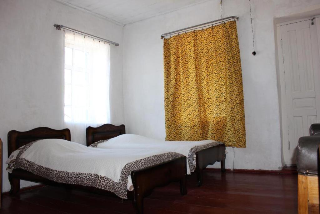 Guest House Elisabeth Adishi Exterior photo