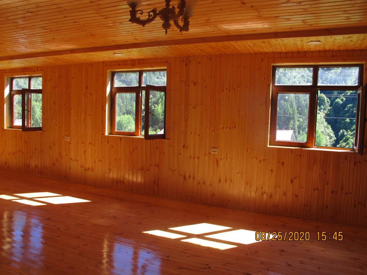 Guest House Elisabeth Adishi Exterior photo